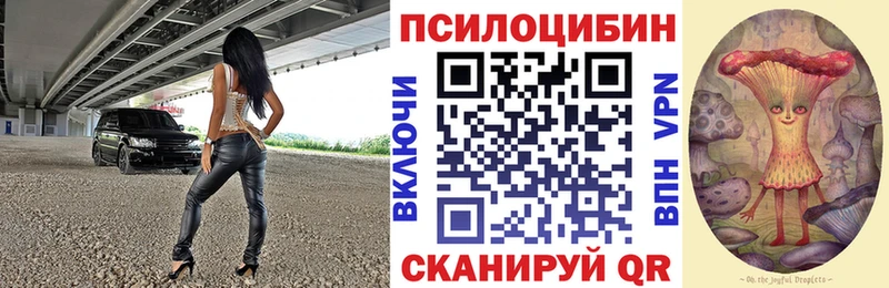 сколько стоит МЕГА ССЫЛКА Галлюциногенные грибы прущие грибы Боготол